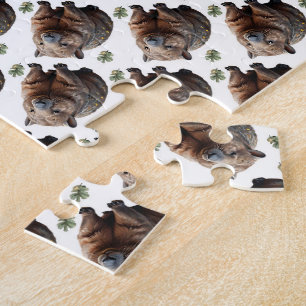 Der Wombat Whirlpool: Ein Wunder, Puzzle