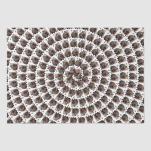 Der Wombat Whirlpool: Ein Wunder, Seidenpapier