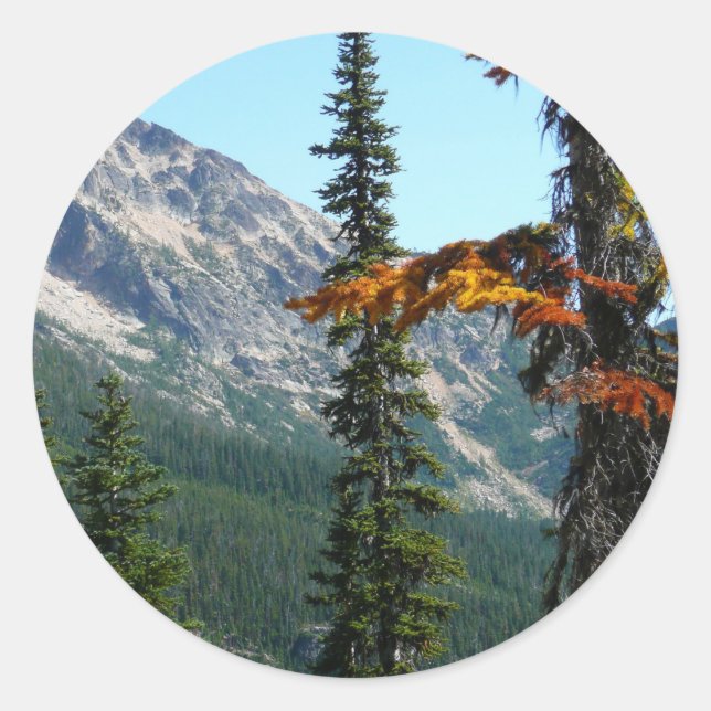 Der Wunder der Natur Runder Aufkleber (Vorderseite)