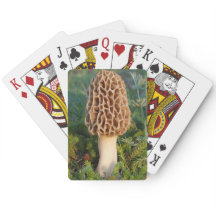 Der wunderbar köstliche Morel-Pilz