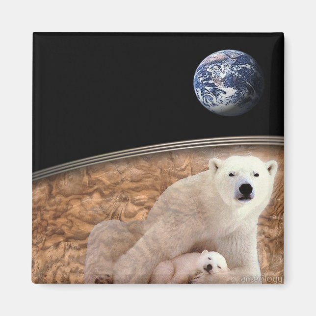 DER WUNDERSCHÖNE POLAR MAGNET (Vorne)