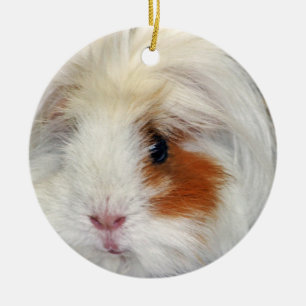 Der Wunsch des Meerschweinchens Keramikornament