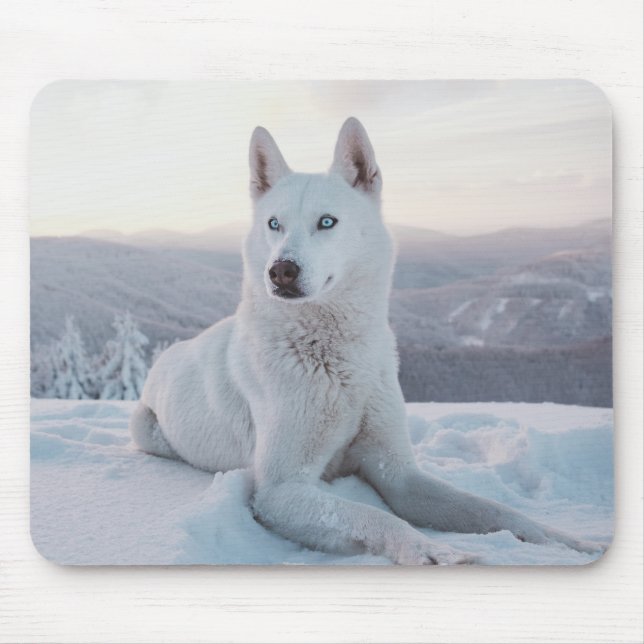 Der zauberhafte Weiße Husky-Hund im Schnee Mousepad (Vorne)
