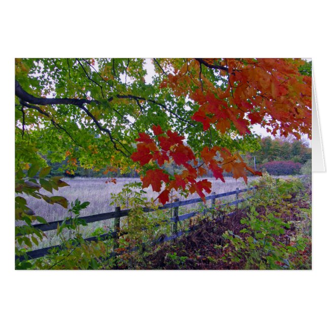 Der Zaun (Vorderseite (Horizontal))