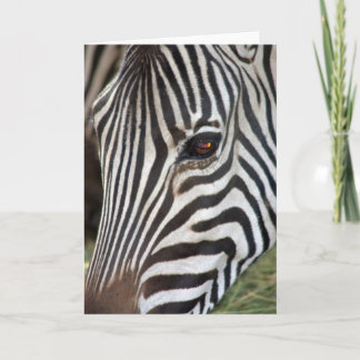 Der Zebra-Karte des ambulanten Händlers Karte