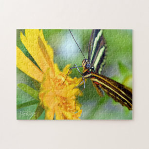 Der Zebrafalter Puzzle