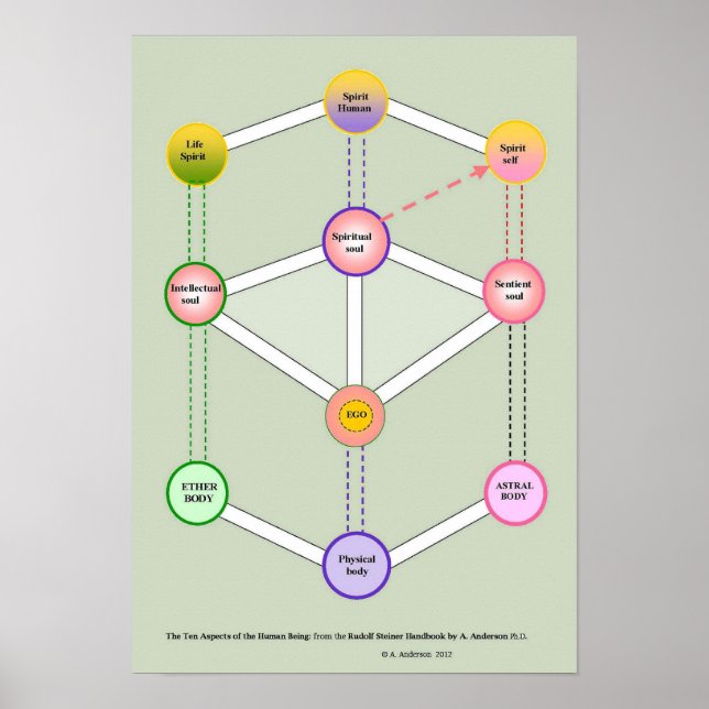 Der zehnfache Mensch Poster (Vorne)