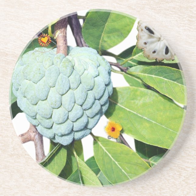 Der Zimt-Apfel Getränkeuntersetzer (Vorne)