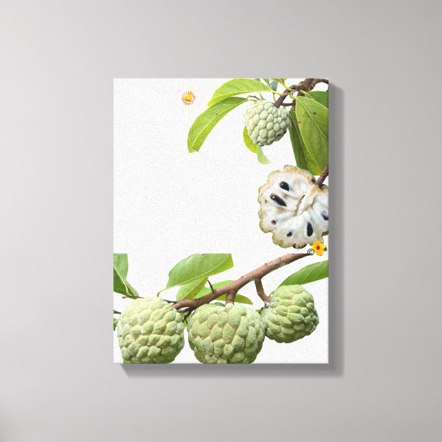 Der Zimt-Apfel Leinwanddruck (Vorderseite)