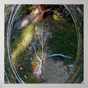 Der Zyklus des Lebens.... Poster