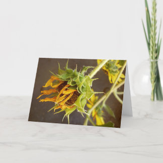 Der Zyklus-Raum-Gruß-Karte des Sommers Karte