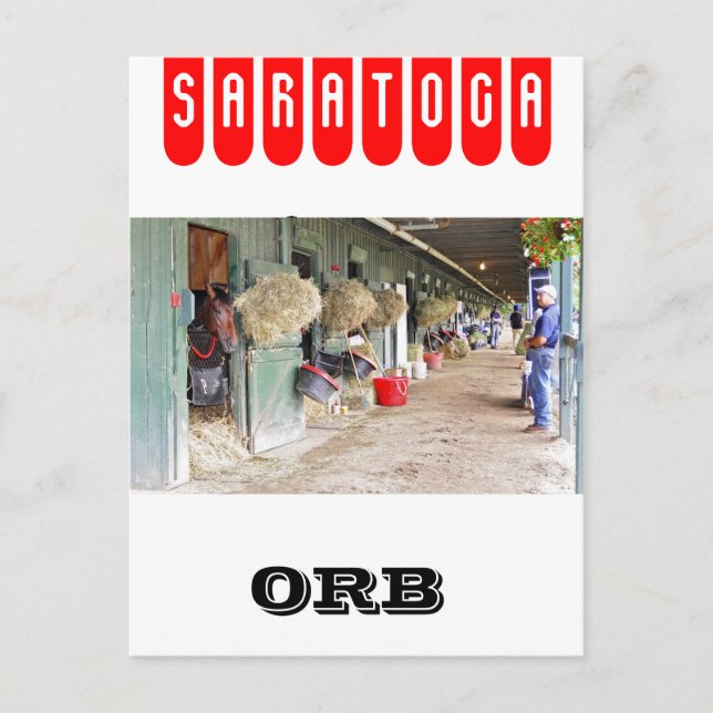 Derby Gewinner "Orb" als 2 Jahre alt Postkarte (Vorderseite)