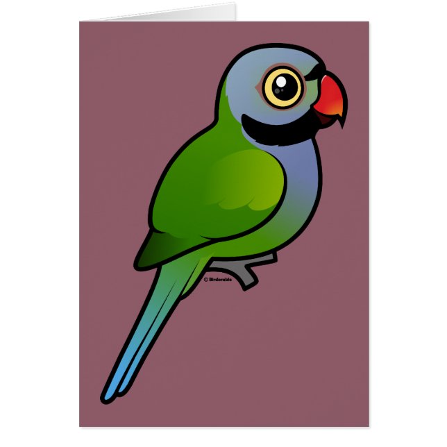 Derbyan Parakeet (Vorne)