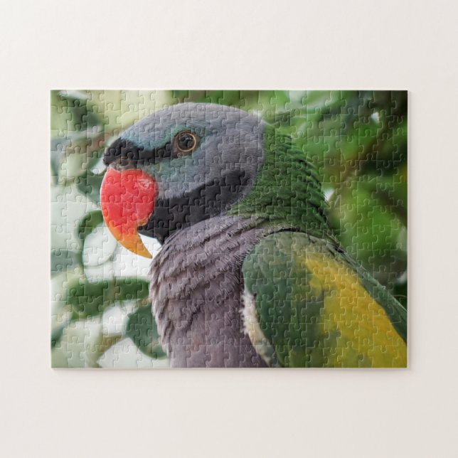 Derbyan Parakeet Jigsaw Puzzle (Horizontal)