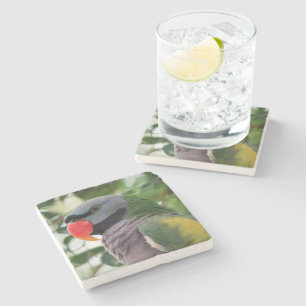 Derbyan Parakeet-Stein-Untersetzer Steinuntersetzer