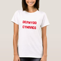 Derwydd Cymraeg, walisischer Druid in Walisisch