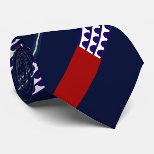 Des Moines (Iowa) Stadtflagge Neck Tie Krawatte
