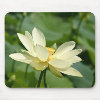 Des Wassers Blume lilly Mousepad