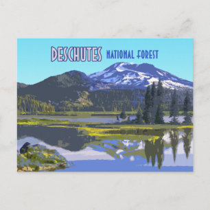 Deschutes National Forest Oregon Vintage Postkarte