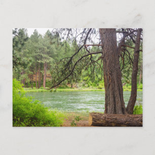 Deschutes River View Postkarte