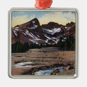 Deschutes staatlicher Wald ODER Silbernes Ornament