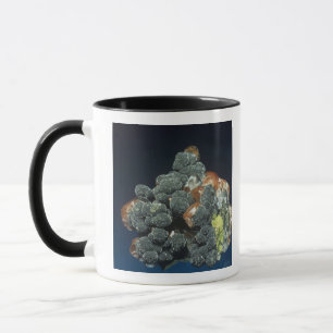 Descloizite auf Kalzit Tasse