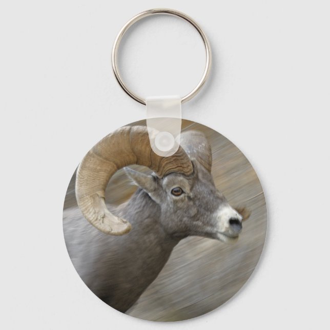 Desert Bighorn Ram Schlüsselanhänger (Vorderseite)