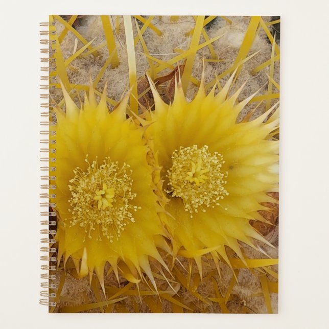 Desert Bloom Vibrant Cactus Blume Planer (Vorderseite)