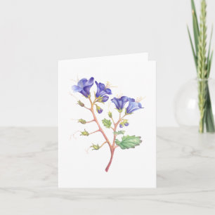 Desert Bluebells Dankeskarte