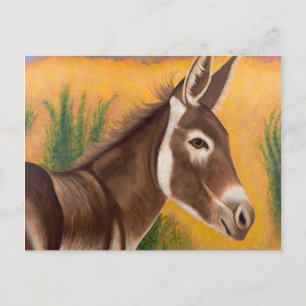 Desert Burro Postkarte