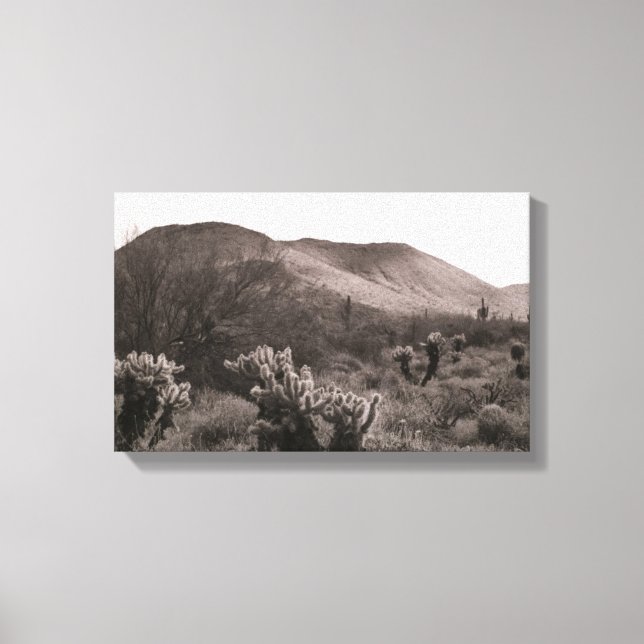 Desert Cacti Jumping Cholla B&W Foto Art Print Leinwanddruck (Vorderseite)