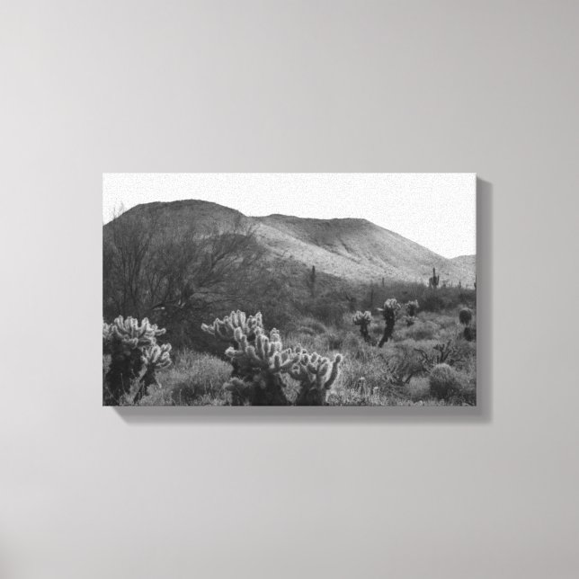Desert Cacti Jumping Cholla B&W Foto Art Prints Leinwanddruck (Vorderseite)