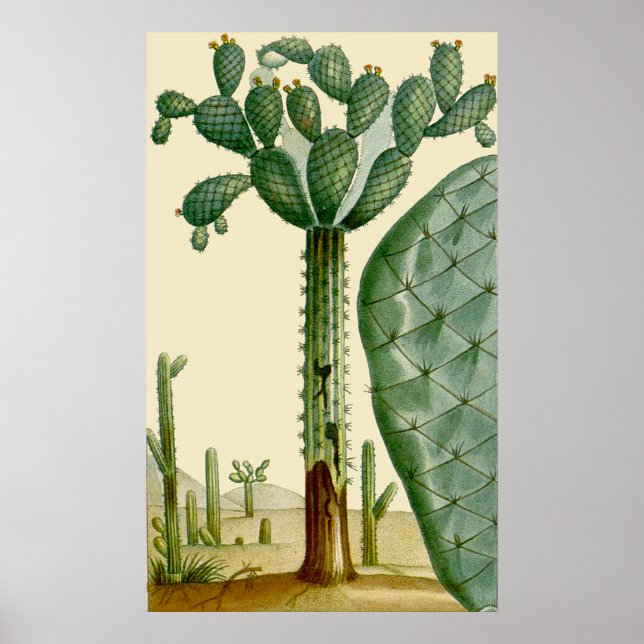 Desert Cacti Scene Poster (Vorne)