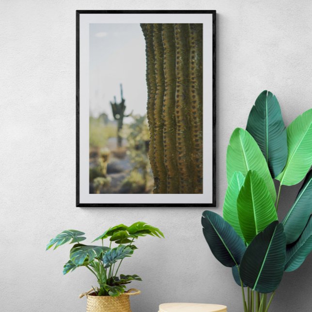 Desert Cactus Fotografy Poster (Von Creator hochgeladen)