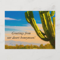 Desert Cactus Saguaro Honeymoon Danke