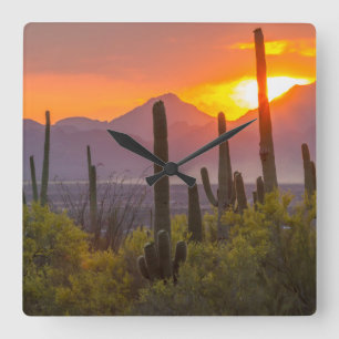 Desert cactus sunset, Arizona Quadratische Wanduhr