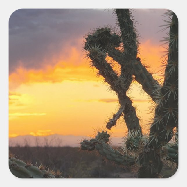 Desert Cactus Sunset Quadratischer Aufkleber (Vorderseite)