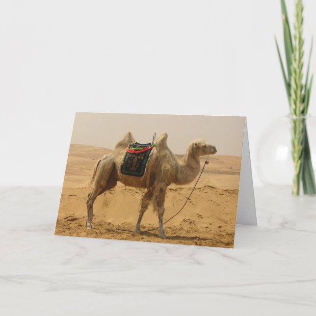 Desert Camel Blank Card Karte (Vorderseite)