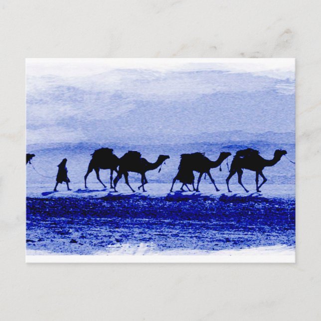 Desert Camel Caravan Blue Postcard Postkarte (Vorderseite)