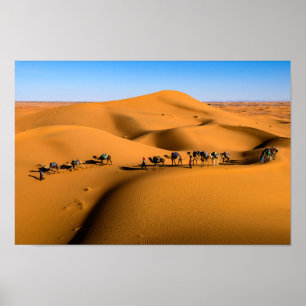 DESERT CAMEL TRAIN - Sand Dunes in Tamnougalt Poster