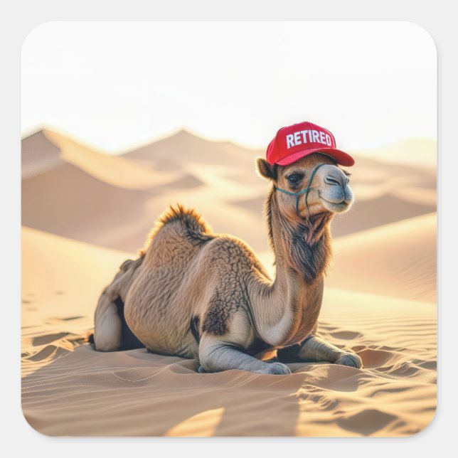 Desert Camel Wearing a Red Retired Cap Quadratischer Aufkleber (Vorderseite)
