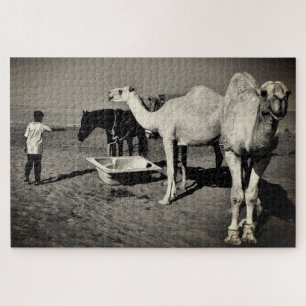 Desert Camels Puzzle