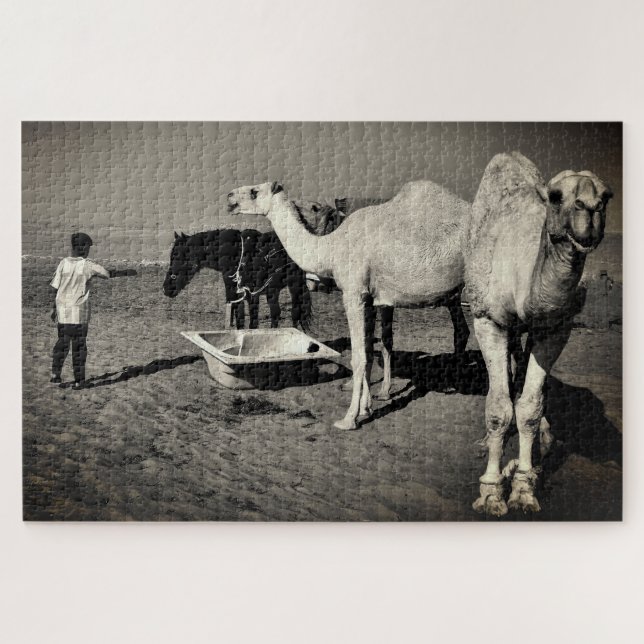 Desert Camels Puzzle (Horizontal)