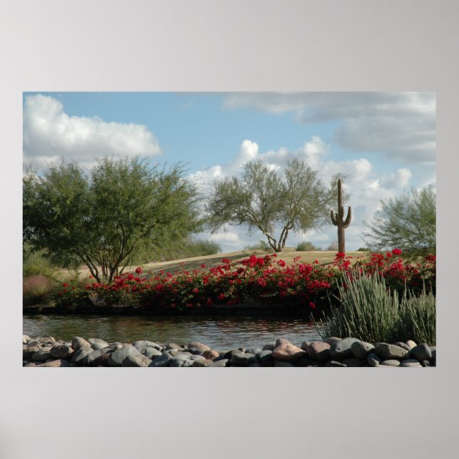 Desert Creek Poster (Vorne)