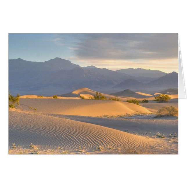 Desert Dawn (Vorderseite (Horizontal))