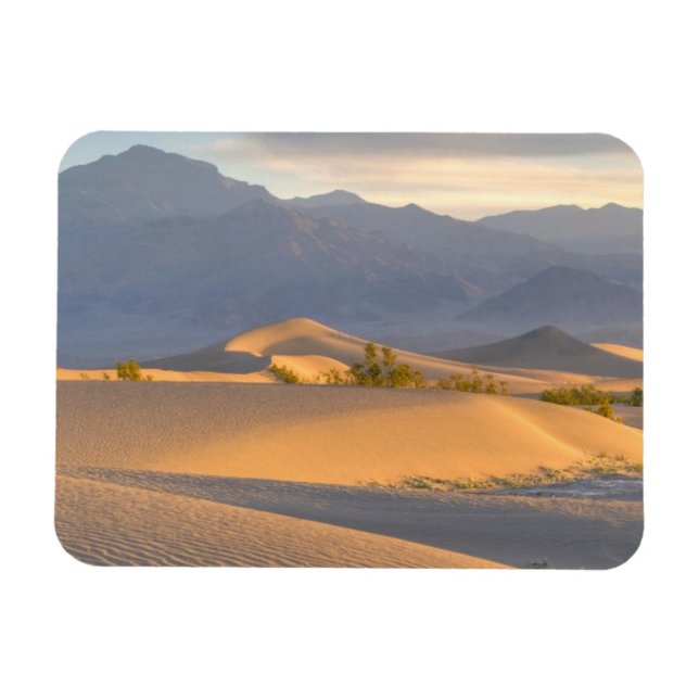Desert Dawn Magnet (Horizontal)