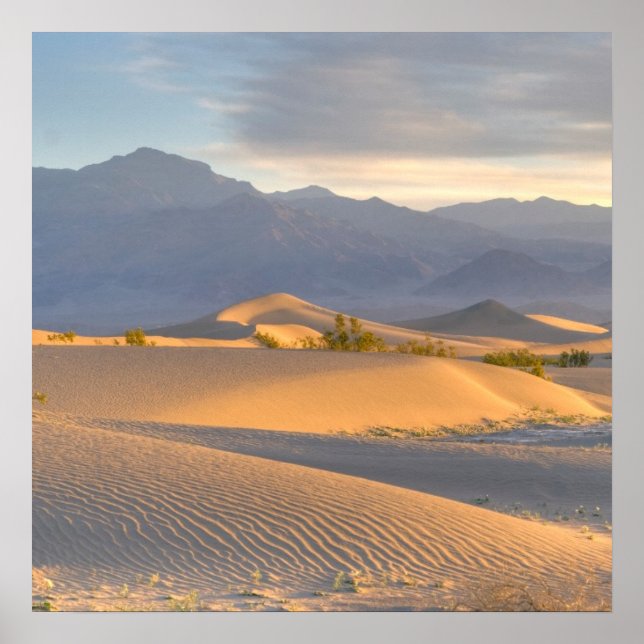 Desert Dawn Poster (Vorne)