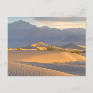 Desert Dawn Postkarte