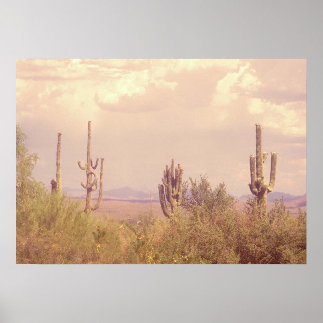 Desert Dream Poster (Vorne)