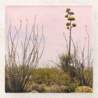 Desert Dreams New Mexico Agave & Ocotillo